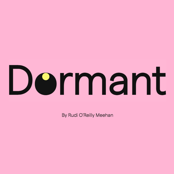 ‘DORMANT’: the country’s housing stock in data, visualised by…